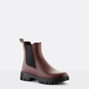 Lemon Jelly Botas Forma Larga^Sissi 05