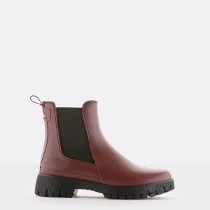 Lemon Jelly Botas Forma Larga^Sissi 05